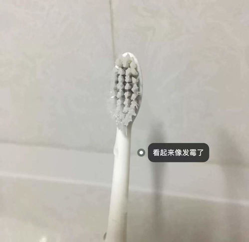 不管多節省，家里這7樣口腔衛生用品要及時扔掉，別覺得可惜